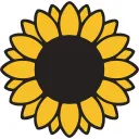Sunflower Oil